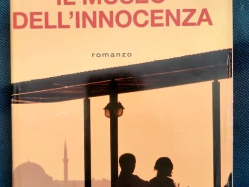 Libro "il museo dell'innocenza"