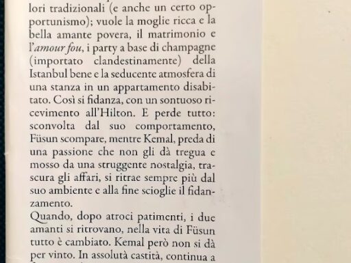 Libro "il museo dell'innocenza"