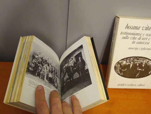 Becana vita sana testimonianze e osservazioni sulla vita