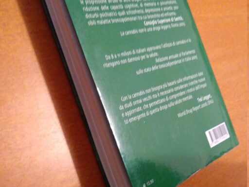 Cannabis come perdere la testa e a volte la vita