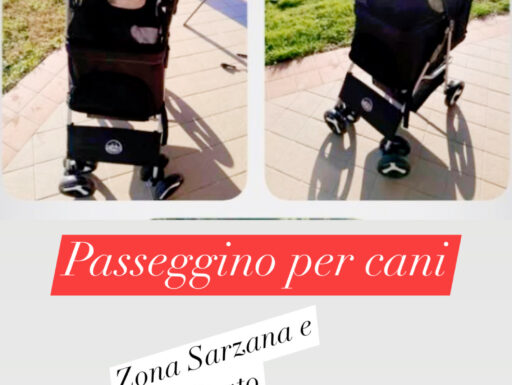 Passeggini per cani completi di tutto a 100€ l’uno