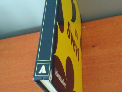 Gli svevi-le grandi famiglie europee