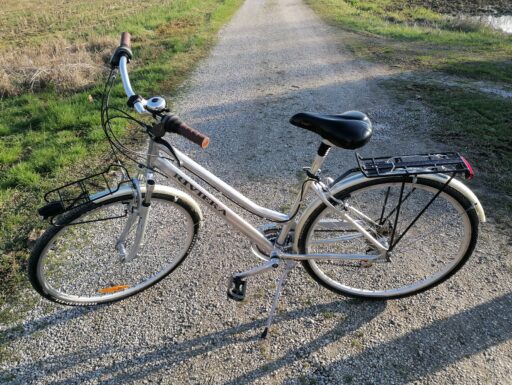 Bici city bike donna da 28 allum 21 marce ammor riviera