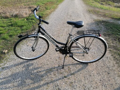 Bici city bike donna da 28 allum 6 marce lombardo