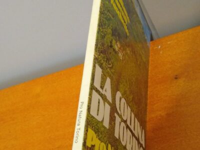 La collina di torino