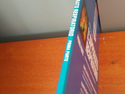 L’apparato respiratorio prima parte