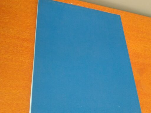 L’apparato respiratorio prima parte