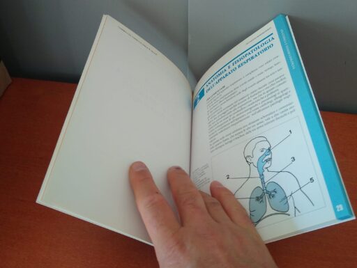 L’apparato respiratorio prima parte