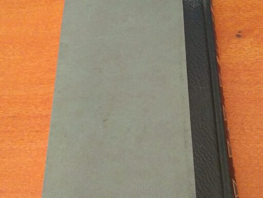 L'occupazione nazista in europa volume iii