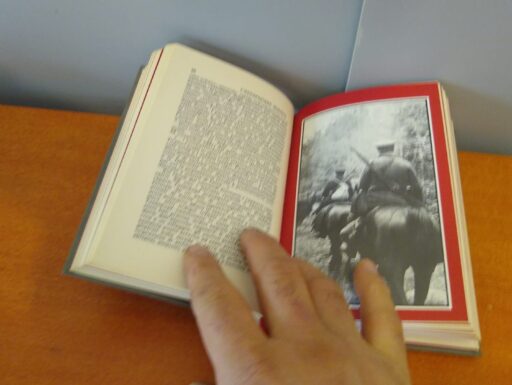 L'occupazione nazista in europa volume iii