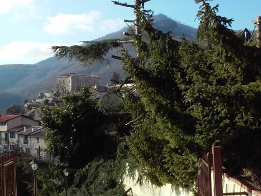 Giardinaggio/abbattimento alberi