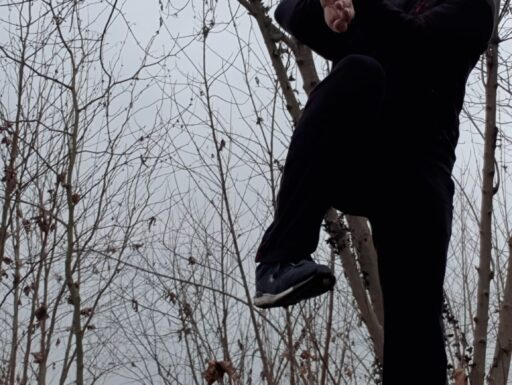 Insegnante ving tsun vta