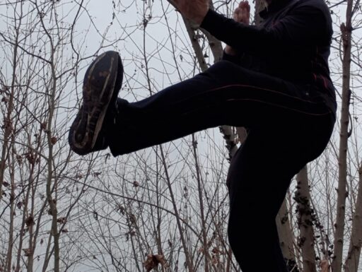 Insegnante ving tsun vta