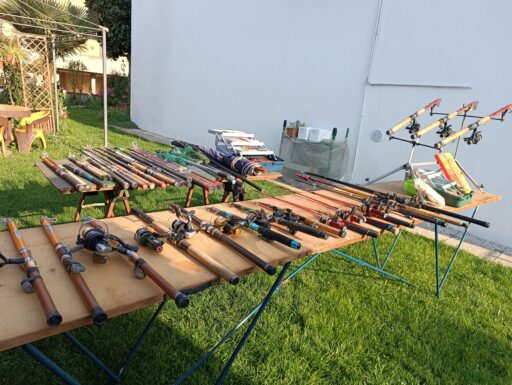 Canne da pesca e accessori