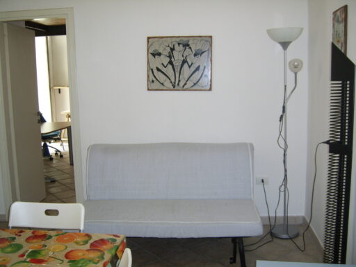 Fittasi ampia stanza doppia, o doppia uso singolo