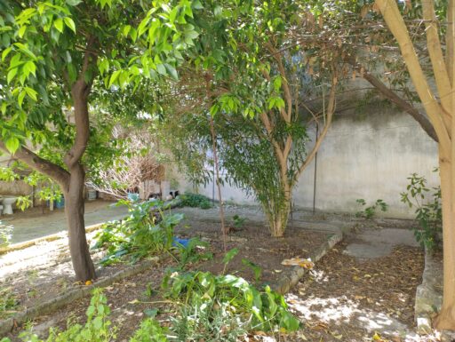 Finimmobil vende in guagnano via provinciale 113 casa