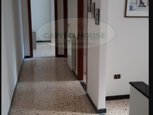 Fittasi grazioso trilocale arredato al centro