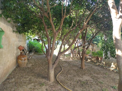 Finimmobil vende in villa baldassarri casa 1 piano