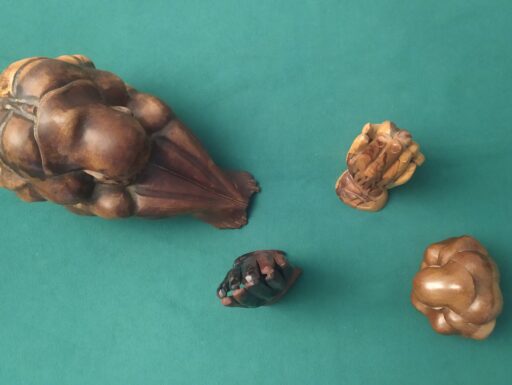 Yogi liberatore e mani congiunte in legno