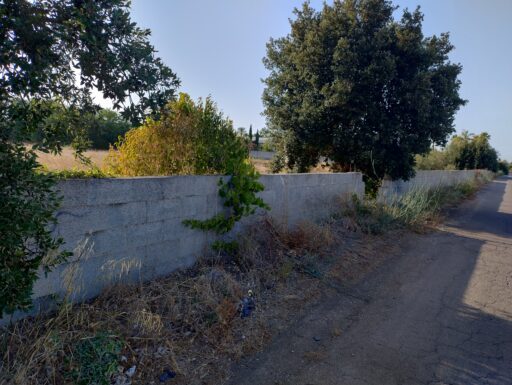 Terreno in san donaci br contrada mariana