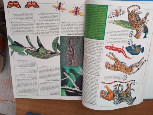 Enciclopedia fabbri editori 1987 - 17 volumi