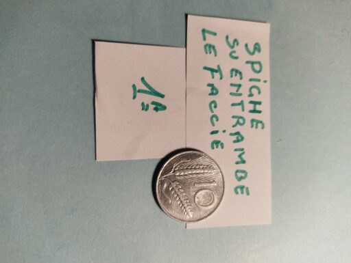 Monete nazionali-internazionali - extra europee