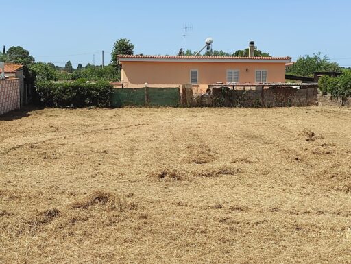 Terreno edificabile nel comune di anzio rm , 1000 mq.