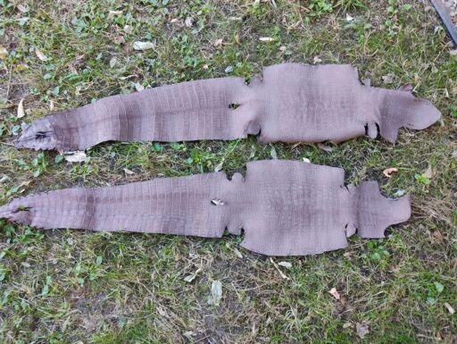 Pellami per abbigliamento calzatura ecc...