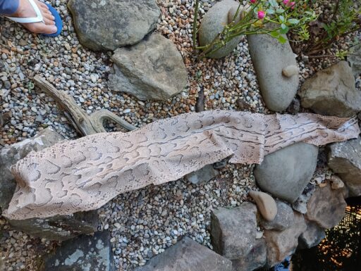 Pellami per abbigliamento calzatura ecc...