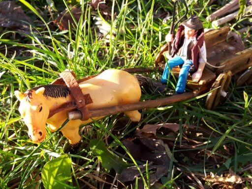 Far west - riproduzione vita reale