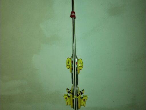 Sci nordica dobermann sl