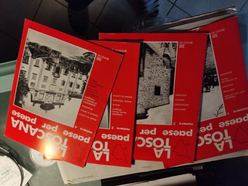 Fumetti- riviste- tex. cino e franco- la fiorentina -archeo.