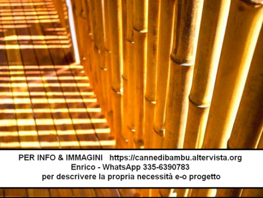 Canne di bambù bambu bamboo