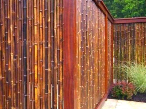 Canne di bambù bambu bamboo