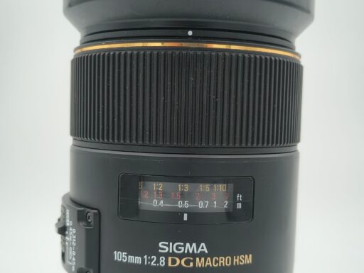 Sigma 105mm f/2.8 ex dg macro os per canon usato