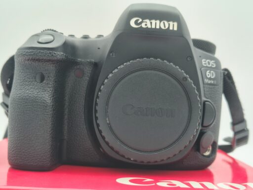 Canon eos 6d mark ii body (scatti 79.634) usato