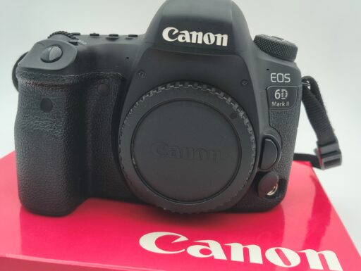 Canon eos 6d mark ii body (scatti 79.634) usato