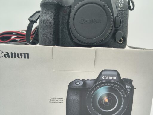 Canon eos 6d mark ii body (scatti 79.634) usato
