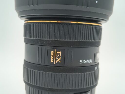 Sigma ex 10-20mm f/4-5.6 dc hsm per canon usato
