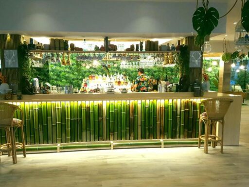 Canne di bambù bambu bamboo