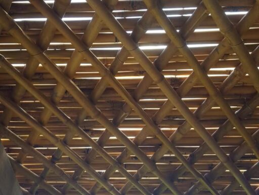 Canne di bambù bambu bamboo