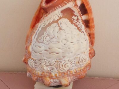 Conchiglia incisa lavoro a mano