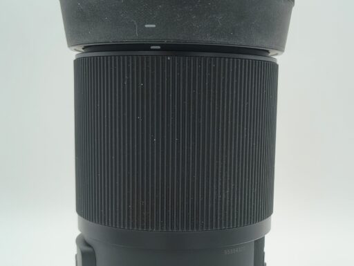 Sigma 105mm f/2.8 dg dn macro per sony usato