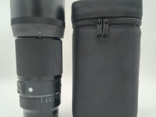 Sigma 105mm f/2.8 dg dn macro per sony usato