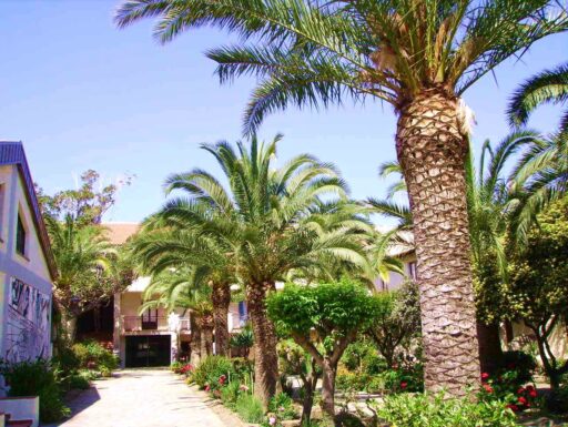 Vacanze nel mare di sicilia a tindari mare-oliveri (me)