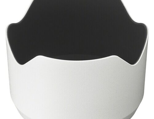 Sony sel 70-200mm f4 macro g oss ii fe usato-demo