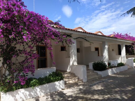 Vieste vacanze promo luglio