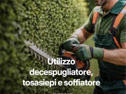 Patentino decespugliatore, tosasiepi, soffiatore – piverone