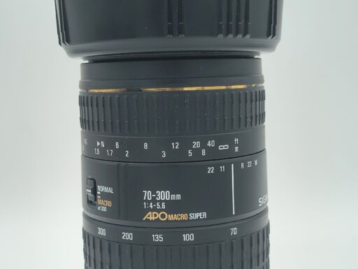 Sigma 70-300mm f/4-5.6 apo macro super per canon usato