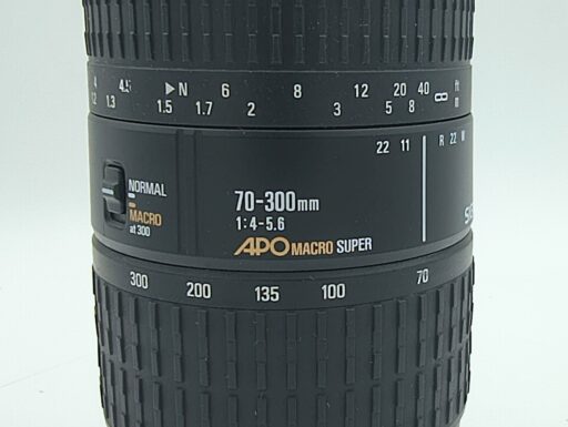 Sigma 70-300mm f/4-5.6 apo macro super per canon usato